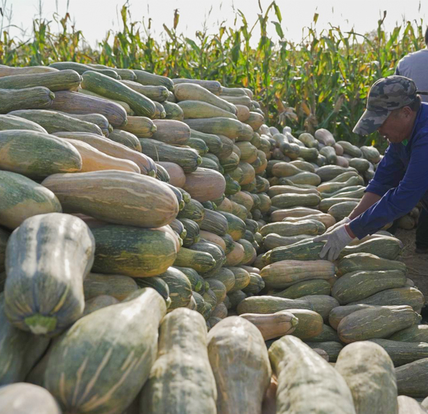 Chất lượng & quy trình